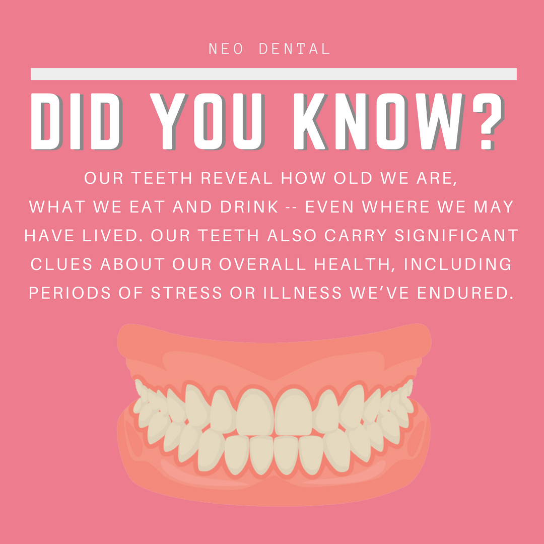 In short, teeth are a lasting record of our personal history #NeoDental #RefreshinglyDifferentDentistry #DidYouKnow #Dentist #Dentistry #Ancaster #Dundas #Hamilton #Facts #DentalFacts #Teeth #TeethFacts #DentalFacts