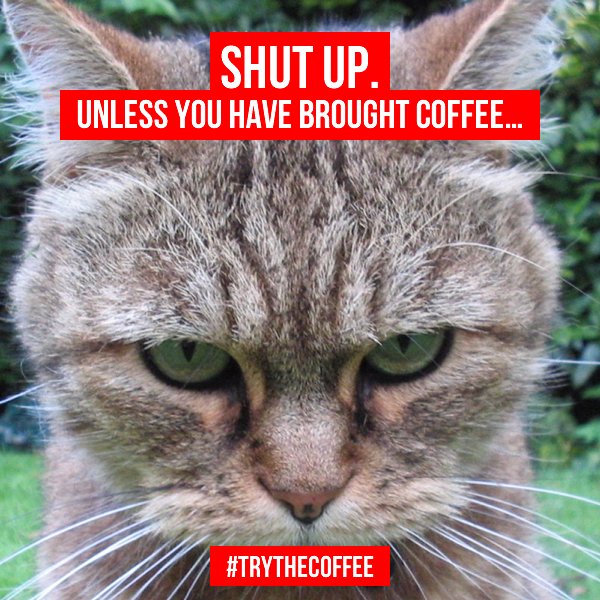 MyKinesisMoney's tweet photo. #Coffeememe #TrytheCoffee
☕🍵👉 https://t.co/2ubw1nppgN
#becoffeestyle #flatlays #coffeeshop #specialtycoffee #coffeebar #coffeebreak #coffeecup #coffeeholic #flatlay #flatlayforever #simplepleasures #coffeelove #vscocoffee https://t.co/OASIlLhkjx