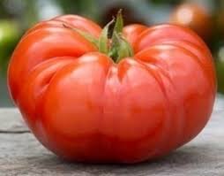 CdeCorral's tweet photo. Este es el primer tomate transgenico 2 veces más grande y con más nutrientes y más sabrosos segun los expertos https://t.co/xEWmhwLmgj