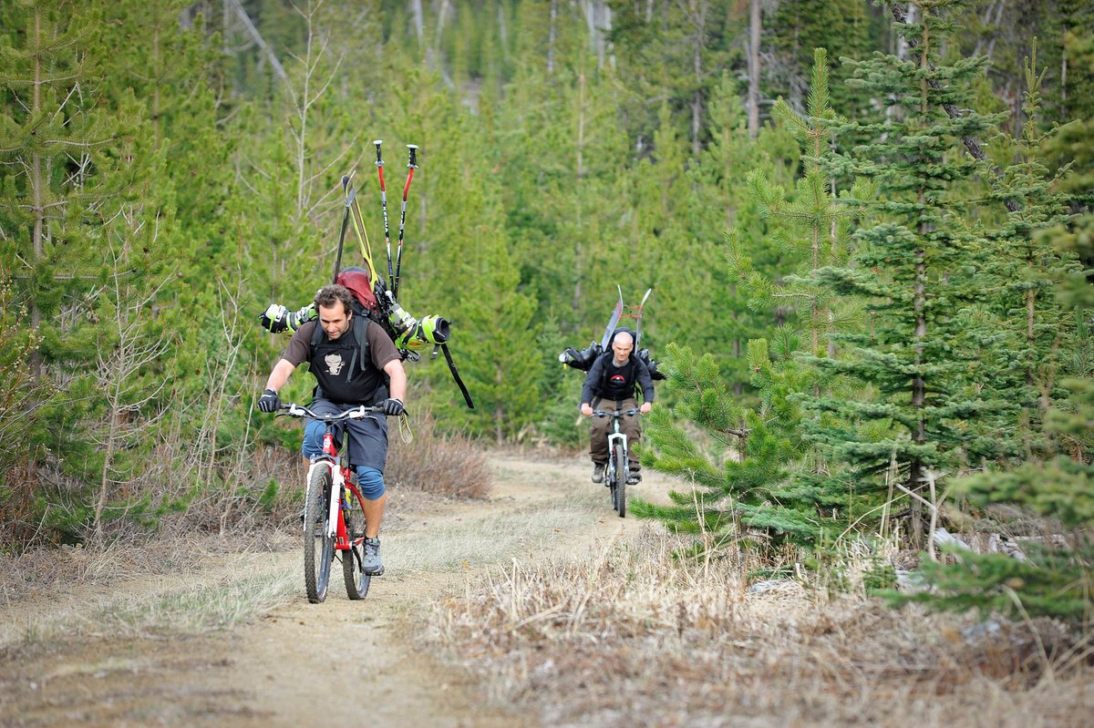 Genuine Guide Gear tweet media