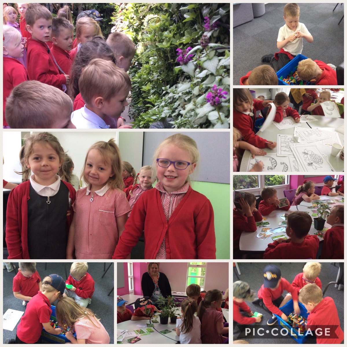 Mrs A Richards tweet media