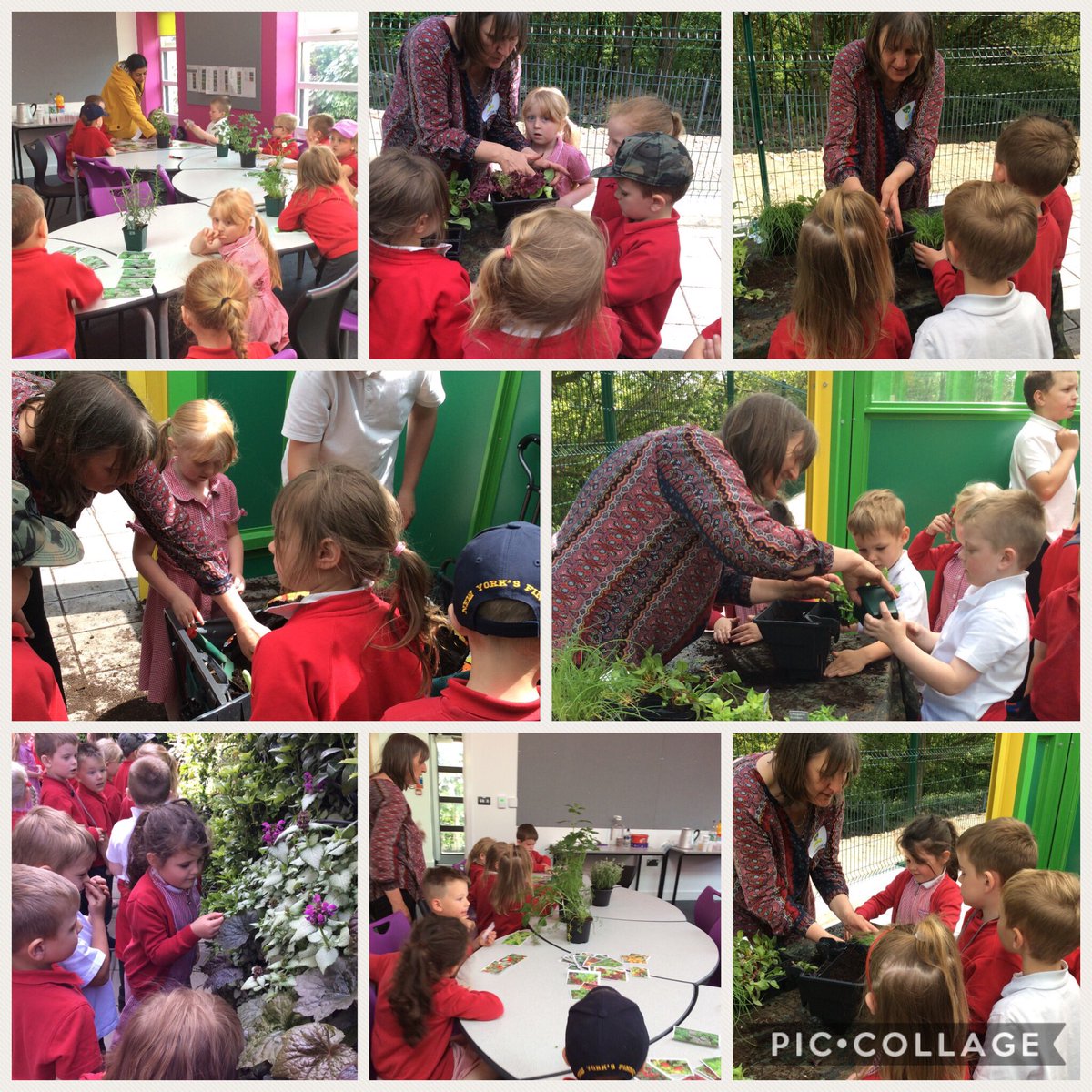 Mrs A Richards tweet media