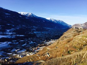 New Release -- Time to Restock -- ’14 Valtellina Superiore!
Boffalora Pietrisco Valtellina Superiore, 2014
bit.ly/Boffalora14
@winefreako <a href="/ValtellinaVini/">Vini di Valtellina</a> <a href="/VisitValtellina/">Visit Valtellina</a> #Nebbiolo <a href="/boffalora/">BOFFALORA</a> #Valtellina