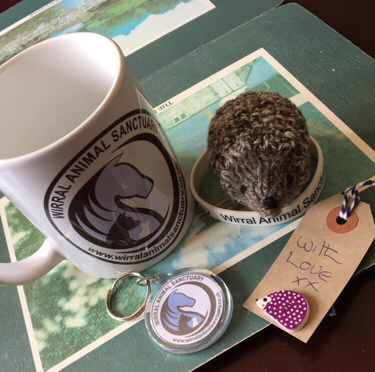 JennnCM's tweet image. Cute surprise present arrived for me via post today!! Thank you :D ❤️ #sponsoracage #helpthehedgehogs