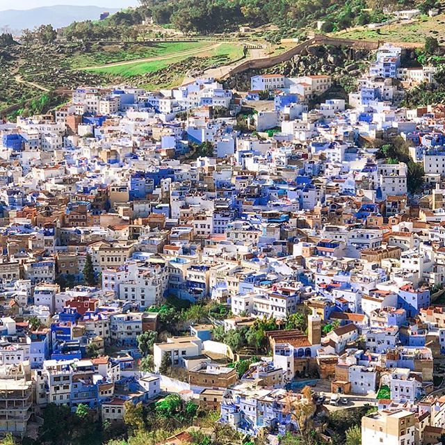 mymoroccanfood's tweet photo. Tbt to this beautiful day in Chefchaouen! Loved getting lost in the blue streets and ate all the cookies and breads! 💙#canwegobacknow? Happy Ramadan to everyone who fasts, wishing you a prosperous month. https://t.co/YOS52mix3P https://t.co/yGcTGMlwff
