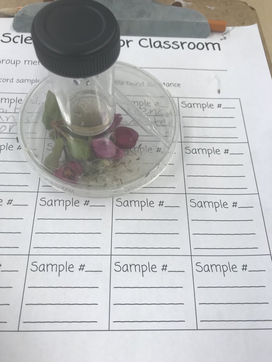 Science #OutdoorClasroomDay <a href="/tdsb_BoysLeader/">Boys Leadership Acad</a> <a href="/TDSB_STEM/">TDSB STEM K-12</a>