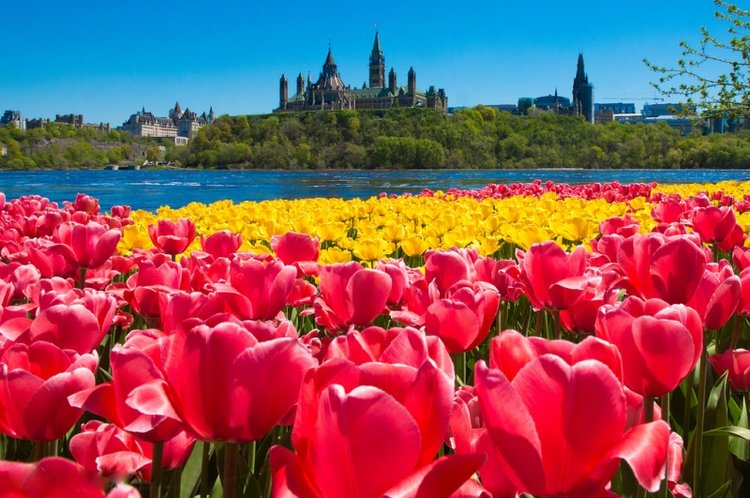 intheglebe's tweet photo. Travel blogger @travelingmitch took a tour through Ottawa and made some stops #intheglebe at #wildoatbakery and at #pintsandquarts. Read his travel blog here: https://t.co/0DtHpY5cGq #MyOttawa https://t.co/qtYwC7wQGi