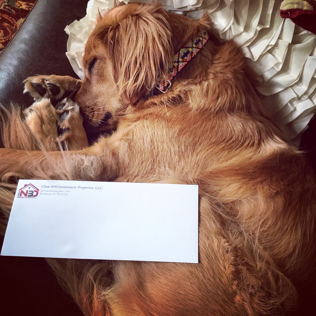 tomclosen30's tweet photo. Apparently writing letters does not interest all of our team... 🤔 https://t.co/igNCEmZh0a
