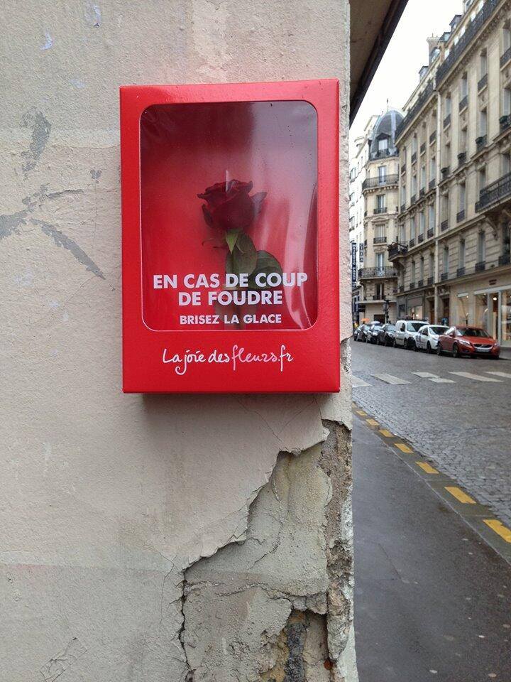 -

في شوارع باريس ، 
كُتِبَ على زجاجها الخارجي :
" للحالات الطارئة ، كالحُب من اول نظرة 
  اكسر الزُجاج "