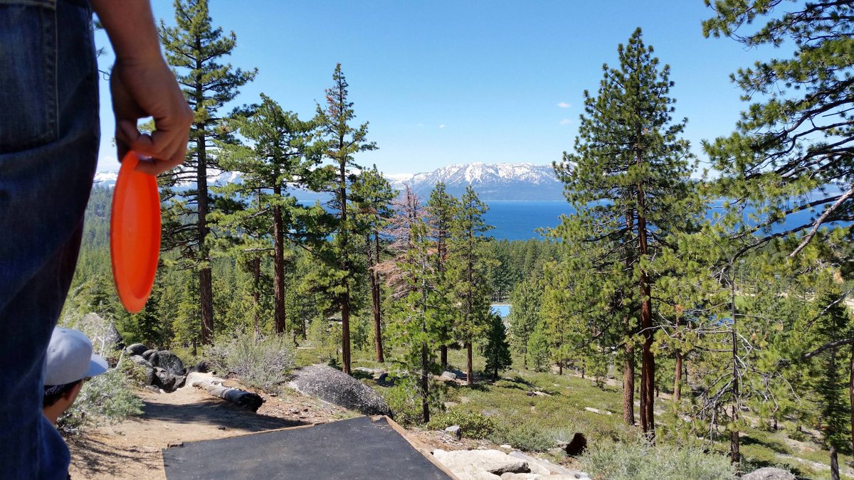 Upper Park Disc Golf tweet media