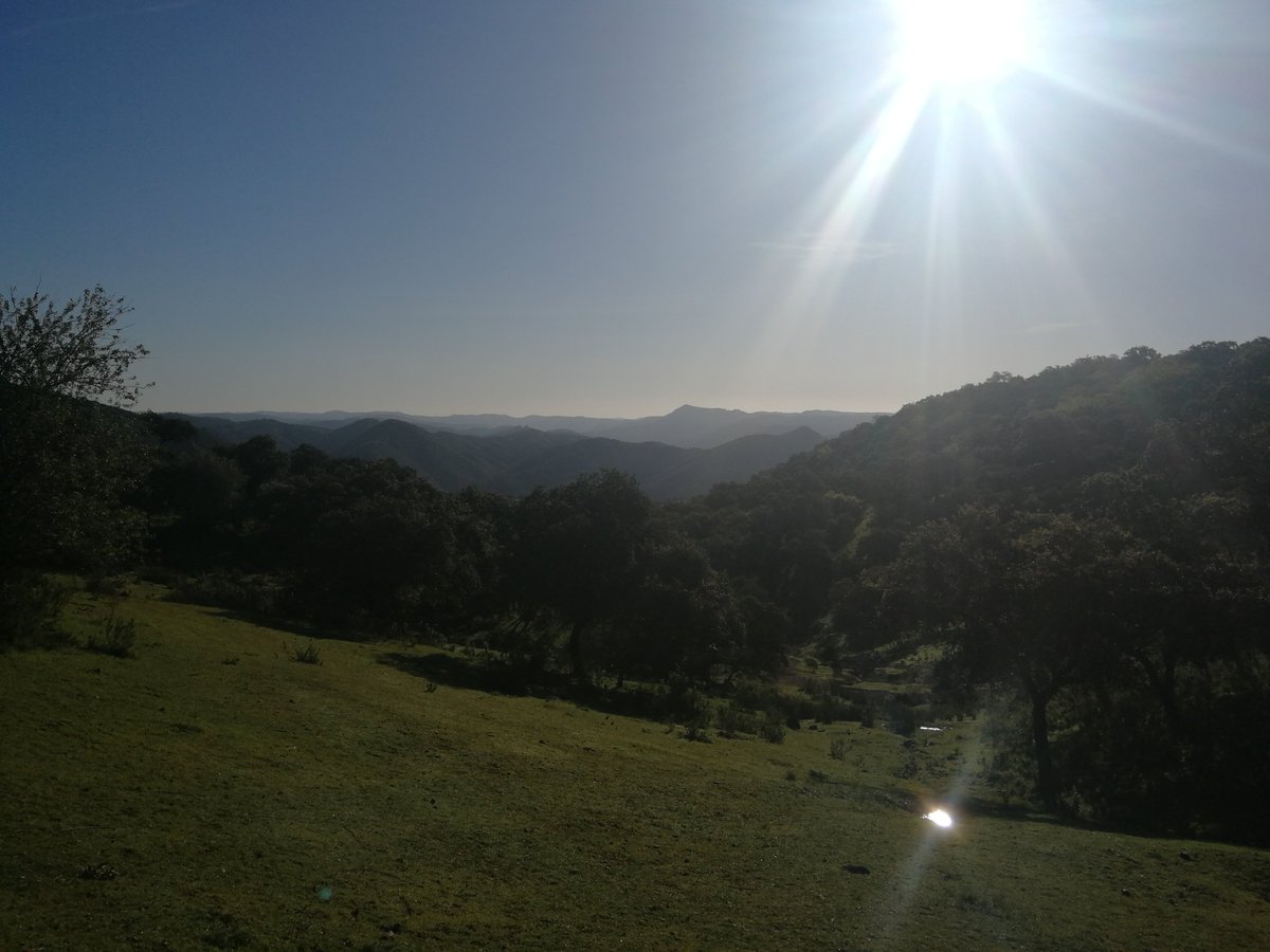 Montresgf's tweet photo. La primavera explota en la Sierra Morena cordobesa. El que pueda que no se lo pierda... https://t.co/YRVm8RNtBy
