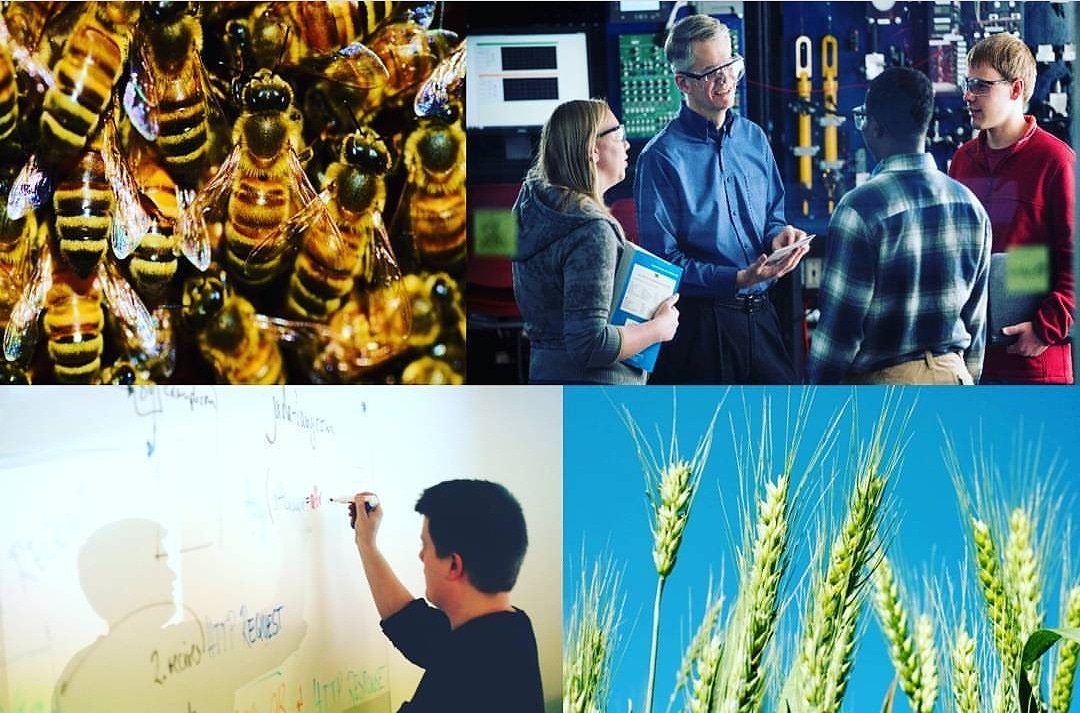 ISUSkysTheLimit's tweet photo. 'Creative Solutions to Tomorrow's Problems' - join this learning team to identify career paths that will allow you to combine passions and bridge interests! Visit our website for more information: https://t.co/STXqMrTyPH

#isuskysthelimit #iowastate #IowaStateORI #futurecyclone https://t.co/gBoinacPpU