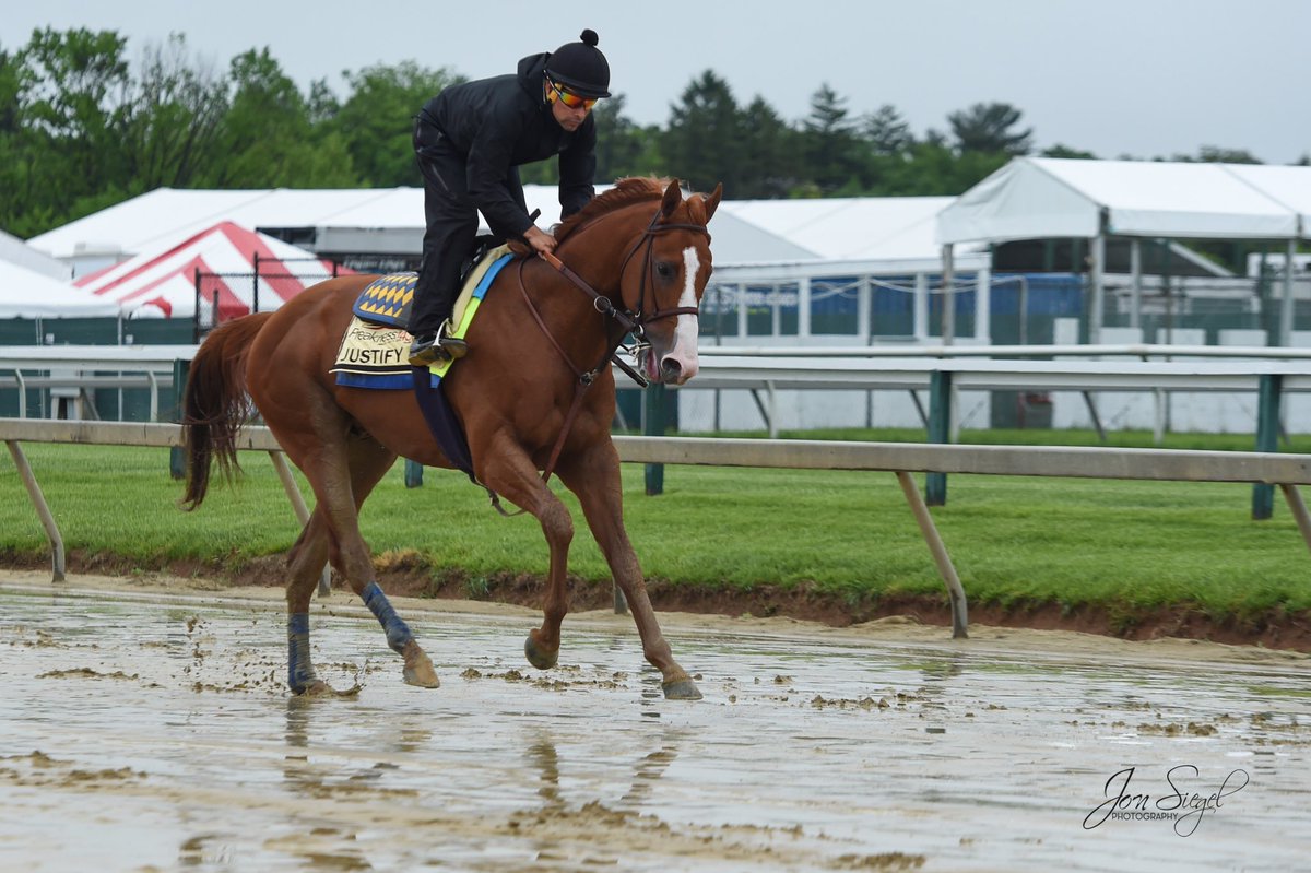 WinStar Farm tweet media