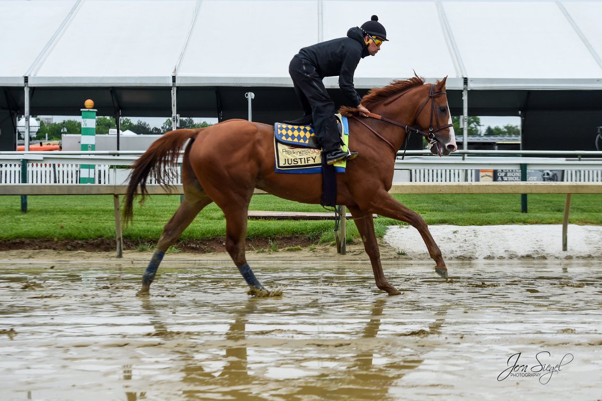 WinStar Farm tweet media