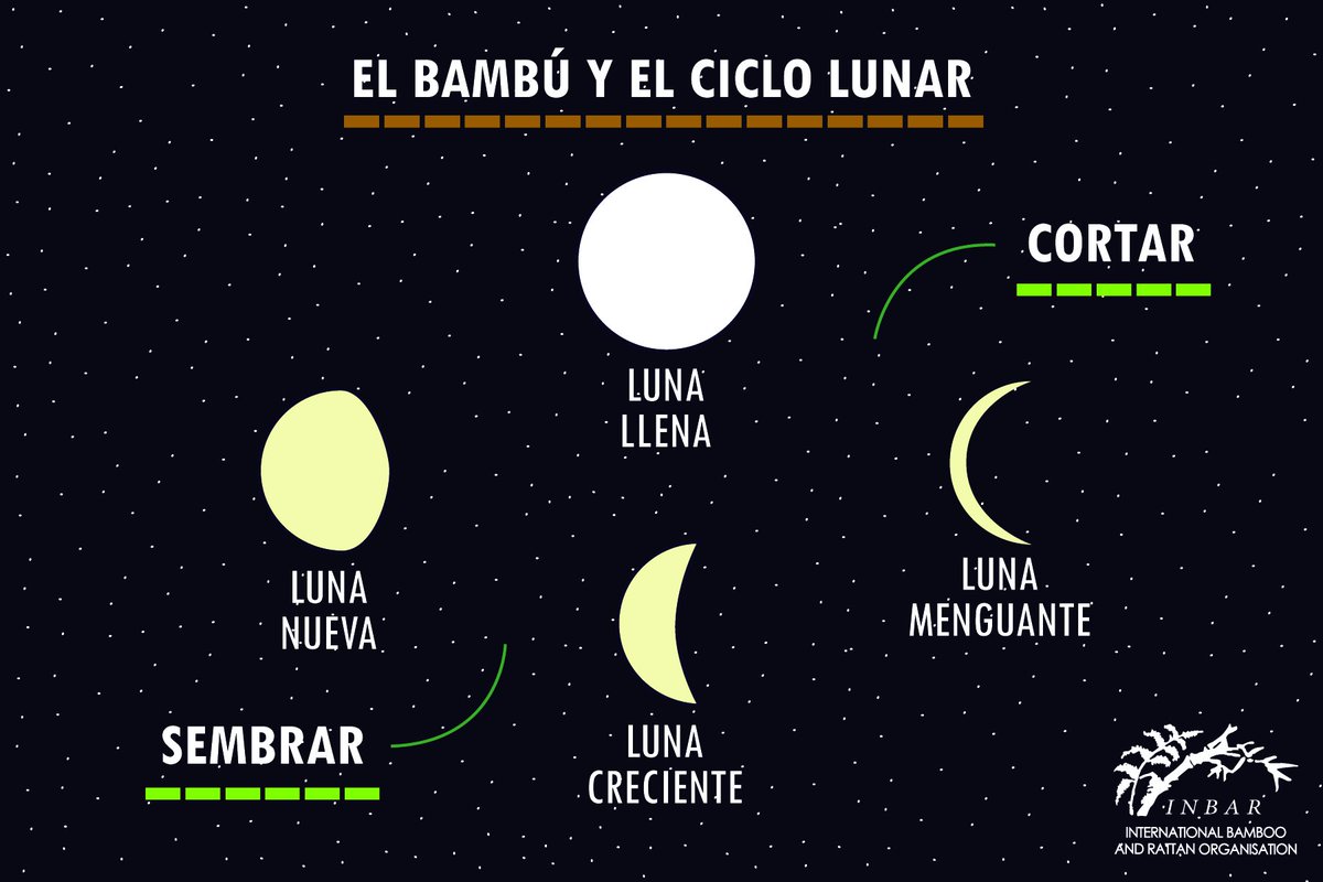 INBAR LAC on Twitter: \ INBAR LAC on Twitter: \