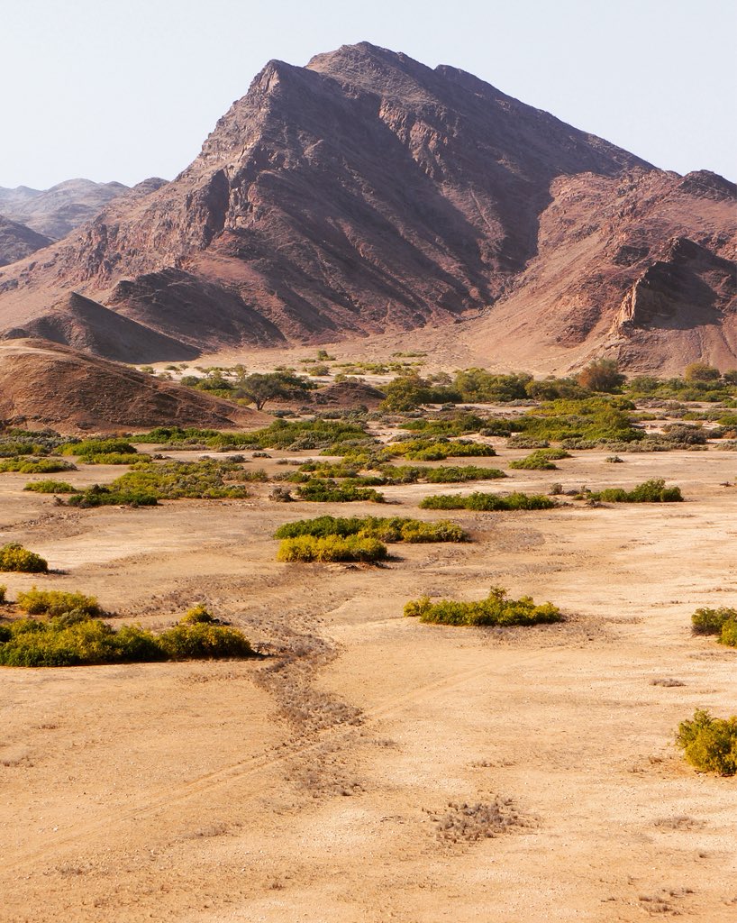 AfriqueSMesure's tweet photo. Namibian decor
#namibia #namibie #landscape #landscapephotography #landscape_lovers #landscape_captures #landscape_lover #scenery #mountain #mountains #safari #safaris #safariafrica #luxurytravel #safarinamibie #safarinamibia #travelphotography #voyage #vacances #desert https://t.co/e0akgTFteK