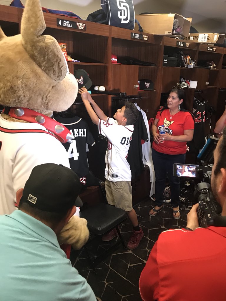 epchihuahuas's tweet photo. Media Q&amp;A with your newest Chihuahuas team member! #MalakhiDay https://t.co/lE77XiVqYE