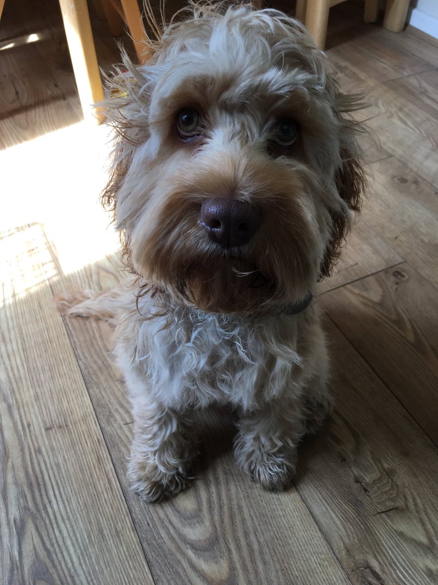 tempranillobar tweet media