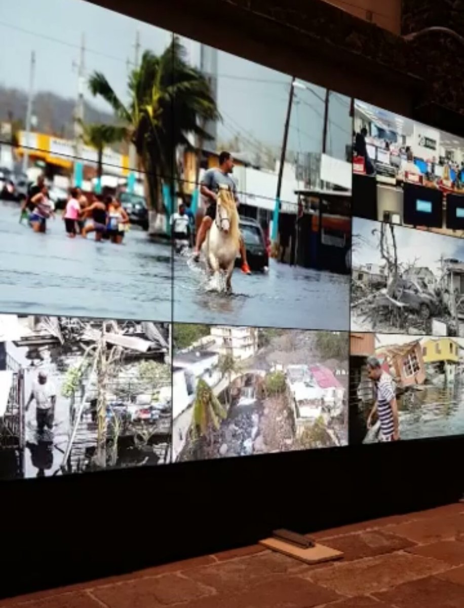 RestoreCoral's tweet image. Restore Coral at @NASA&apos;s masterclass 

#UR2018
#UnderstandingRisk