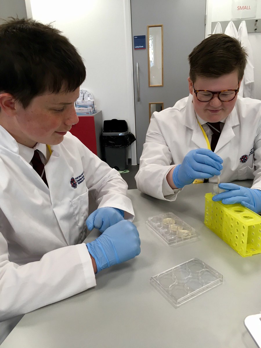 EBSOClab's tweet photo. We had a great day with @PrestonLodgeHS today. Some of their S1/2 pupils got to do our #FarmDetectives workshop and meet our @roslininstitute scientists https://t.co/el8kdMEBpY