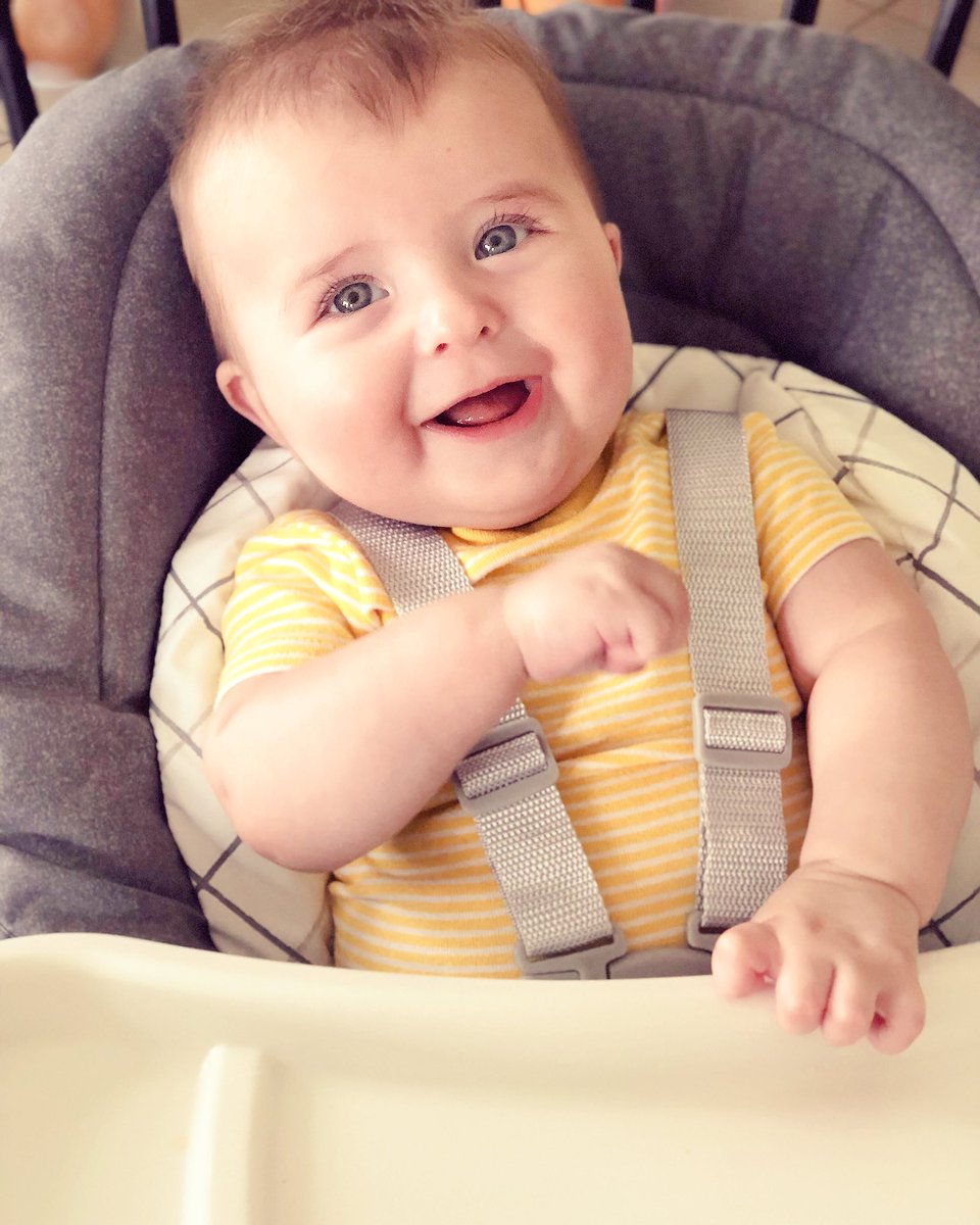 holly_treesh's tweet photo. This handsome boy loves his big boy high chair. 😭👶🏼💛
#StopGettingSoBig https://t.co/bAm35svcSG