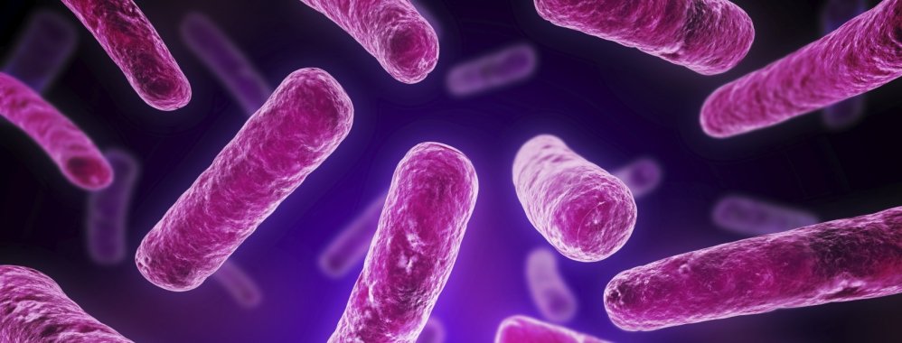 oatdeal's tweet photo. Do you take a daily probiotic? If you do, make sure you have a good knowledge of what they do. https://t.co/81xhkxVz6Q https://t.co/NnjlIYFTFR