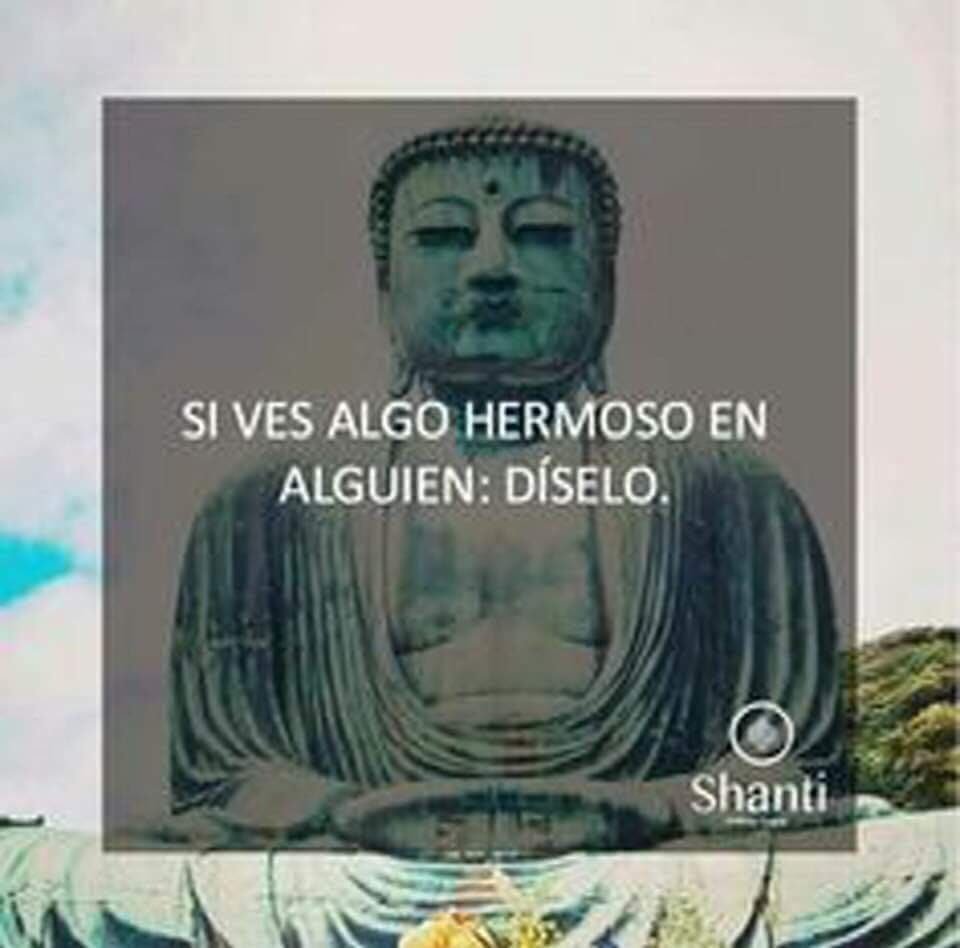 VerdeRinconcito's tweet photo. Solo por un día intenta decir solo cosas lindas o expresarte de manera positiva...¡ve los resultados! 😍 https://t.co/7lrhaICJ1R