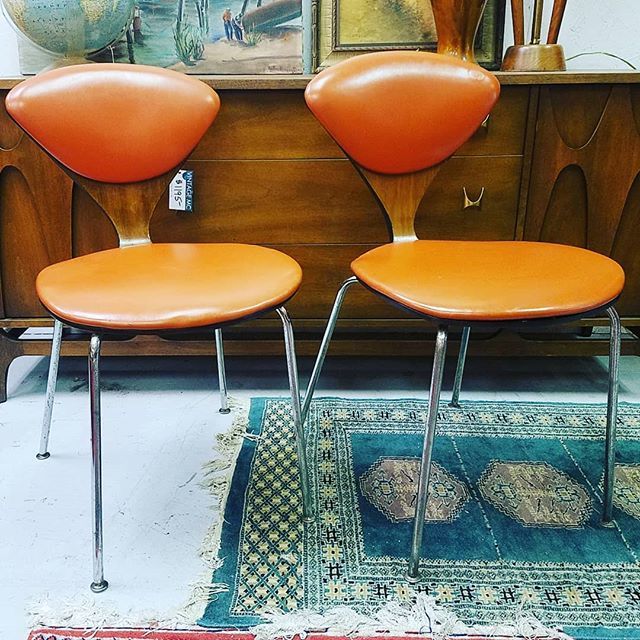 vintageMCfred's tweet photo. So this just happened. #cherner #plycraft #chernerchair #orange #directional #midcentury #midcenturymodern #modernism #downtownfrederick #getitdowntown #designer #signed #homedecor #mcmchair https://t.co/ijL4LzWIhl https://t.co/iHQu0o6EYa