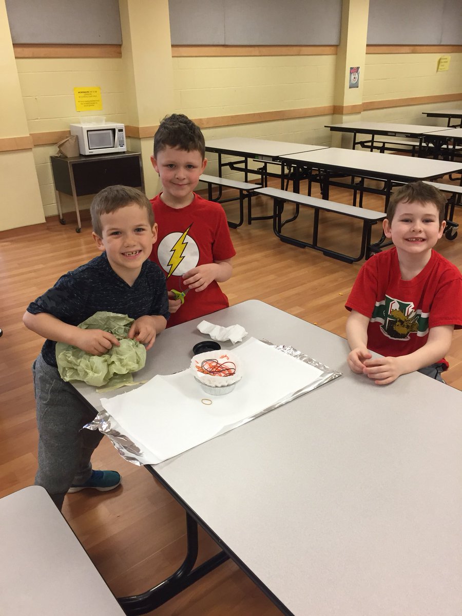 MissMurray07's tweet photo. Making Egg protection devices was the highlight of our materials unit in grade 1 science. @ssrsbbes @SouthShoreRCE https://t.co/mWSf4LVPOu