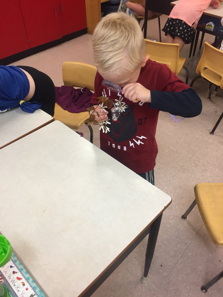 MissMurray07's tweet photo. Getting a closer look at the buds and blossoms of springtime! @ssrsbbes @SouthShoreRCE https://t.co/u3pmuRuHxW