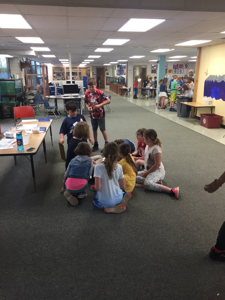 GradeOgden's tweet image. Testing the PH levels in standing water in “Greentown”. #sciencecenter102
#ogdenavenuepanthers  #thirdgradescientists