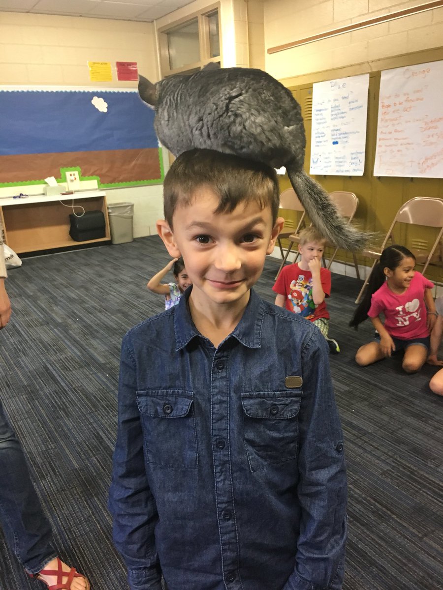 Shannon Lombardo tweet media