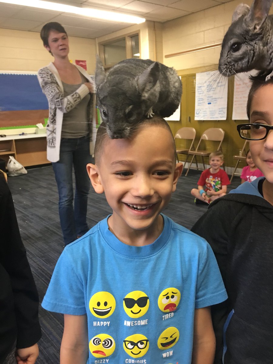 Shannon Lombardo tweet media