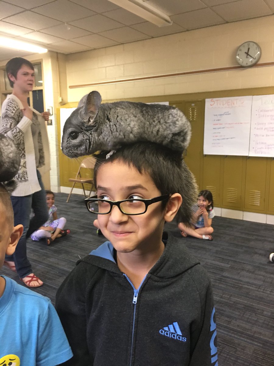 Shannon Lombardo tweet media