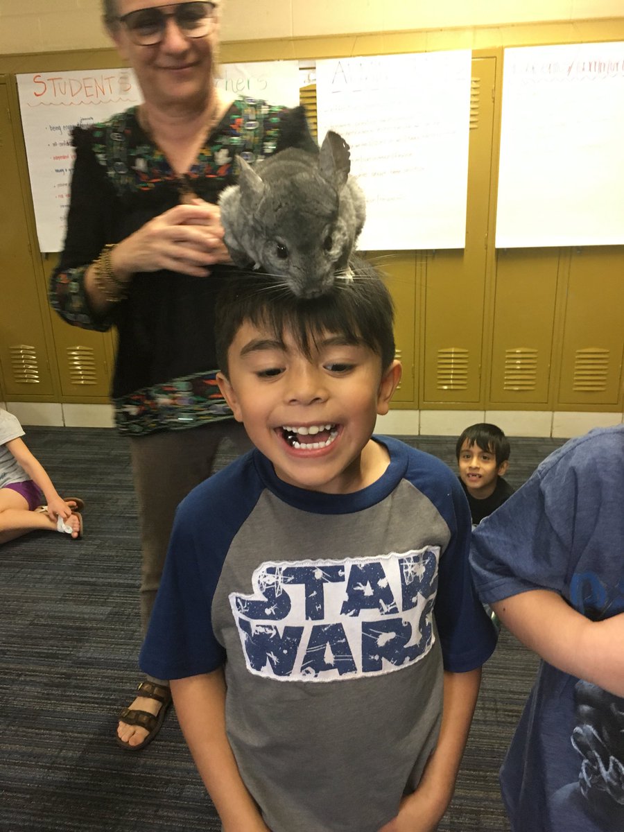 Shannon Lombardo tweet media