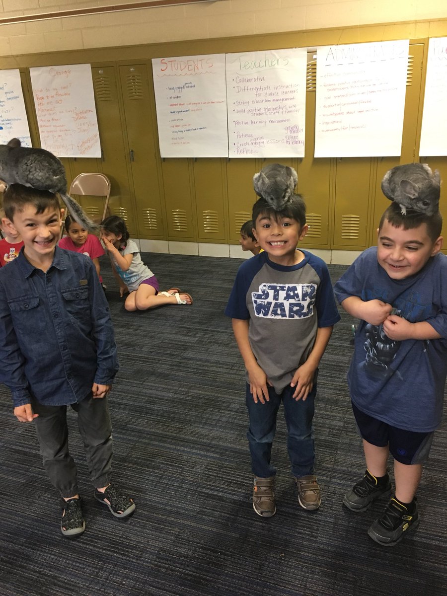 Shannon Lombardo tweet media