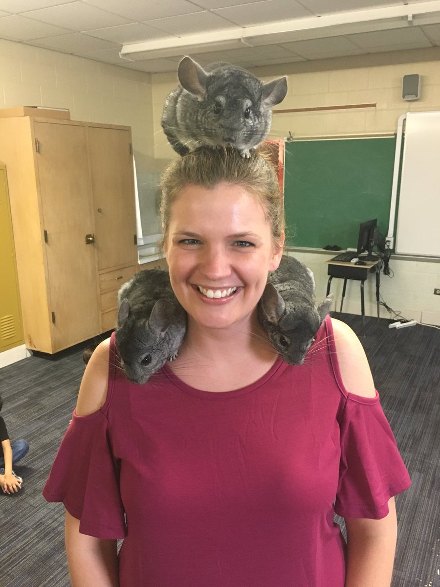 Shannon Lombardo tweet media