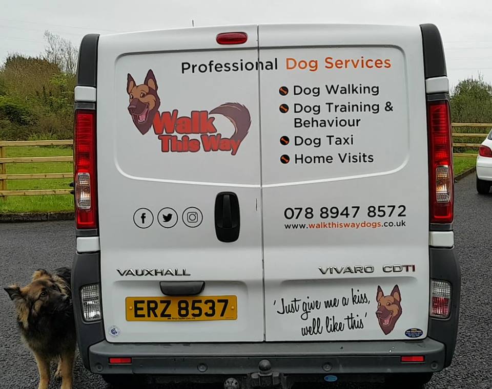 wtwdogs180's tweet photo. Walk This Way is officially open for business!
Get in touch for dog-walking, training, taxi service or home visits🐩❤️🐕
#dogsoftwitter #dogloversni #nidogs #belfastdogs #carrickfergus https://t.co/hUXrqbB3rT