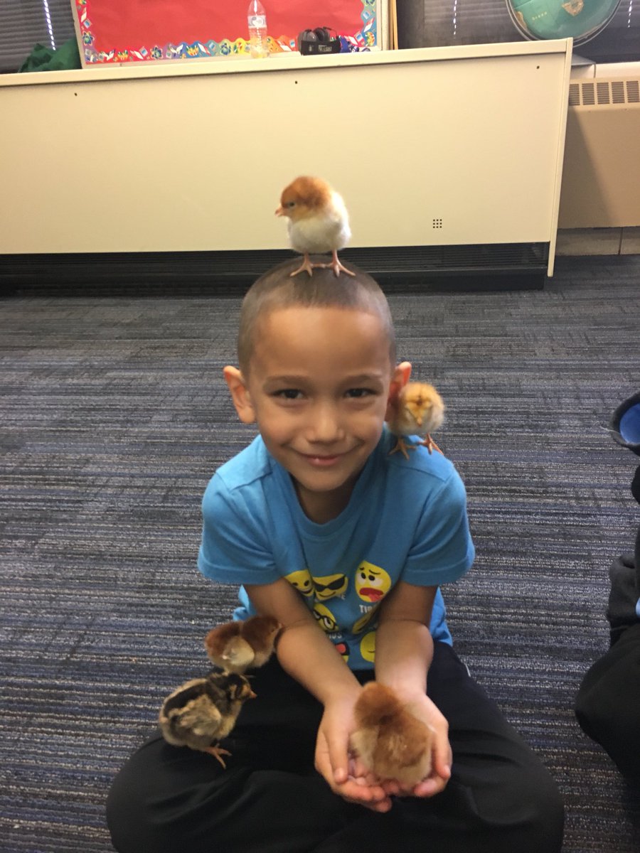 Shannon Lombardo tweet media