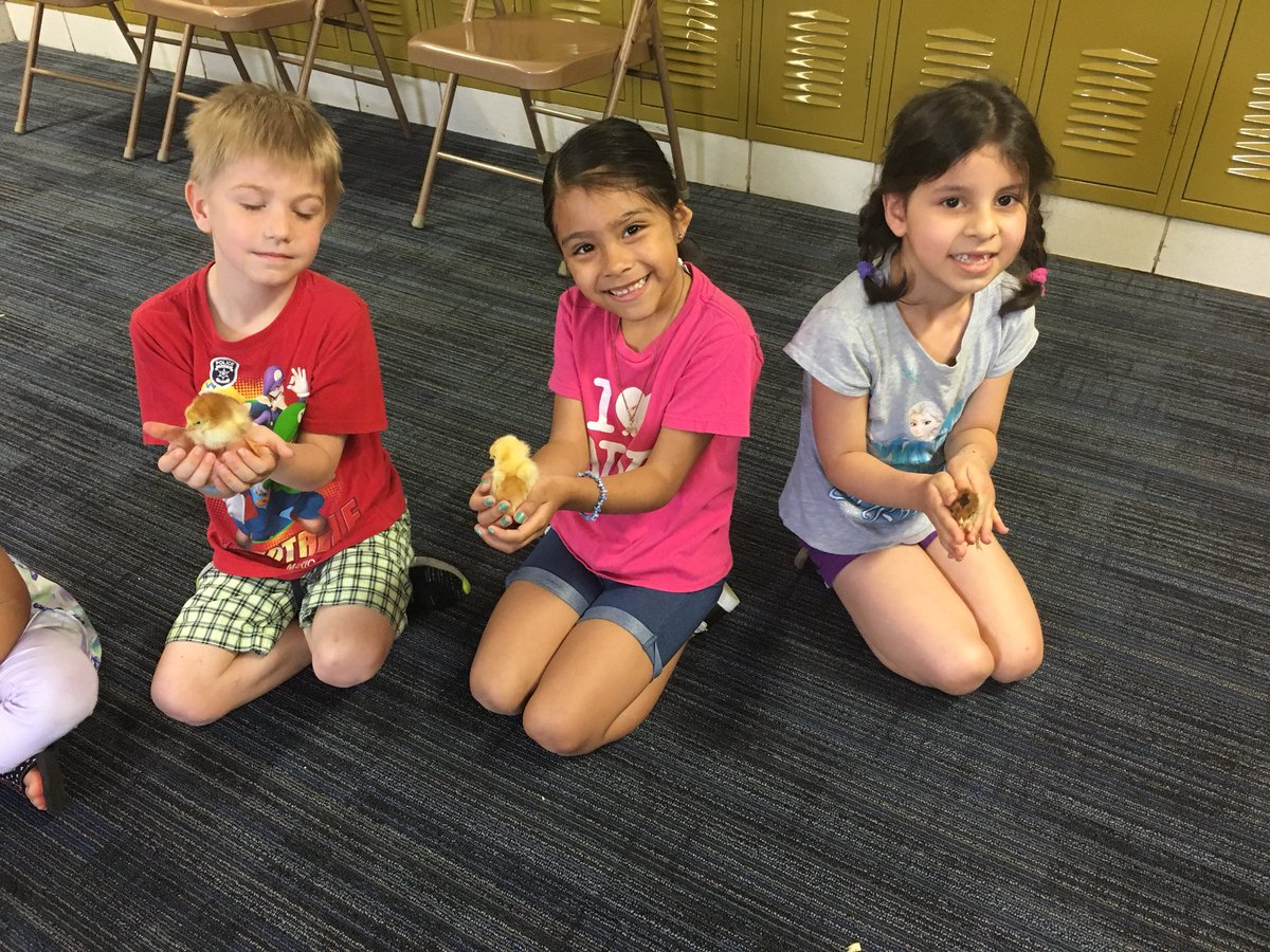 Shannon Lombardo tweet media