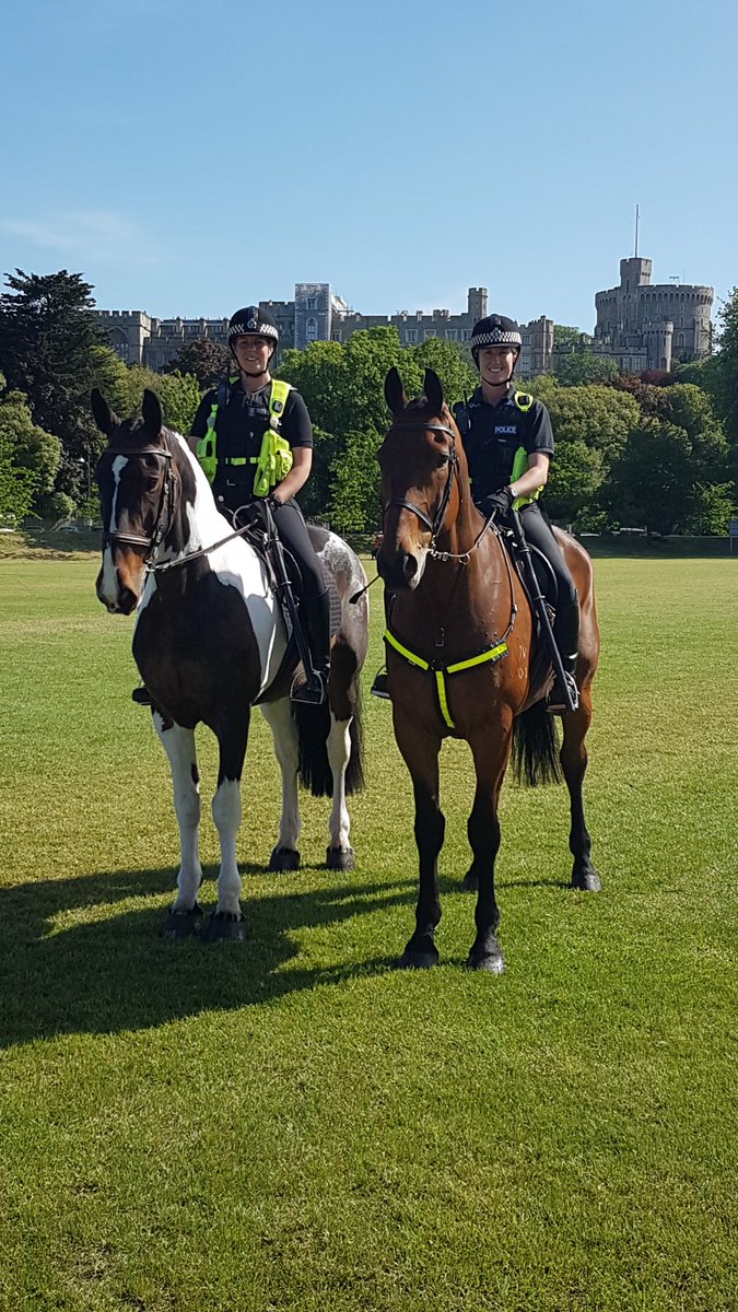 Trojan &amp; Loki on security patrols in Windsor ☉ getting ready for the big day! #royalwedding P1686