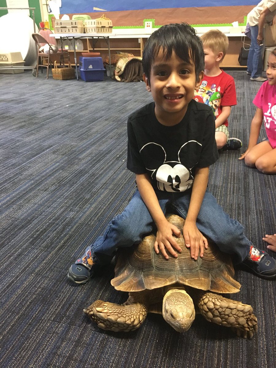 Shannon Lombardo tweet media