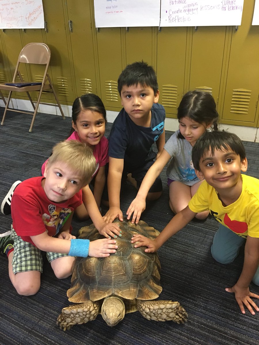 Shannon Lombardo tweet media