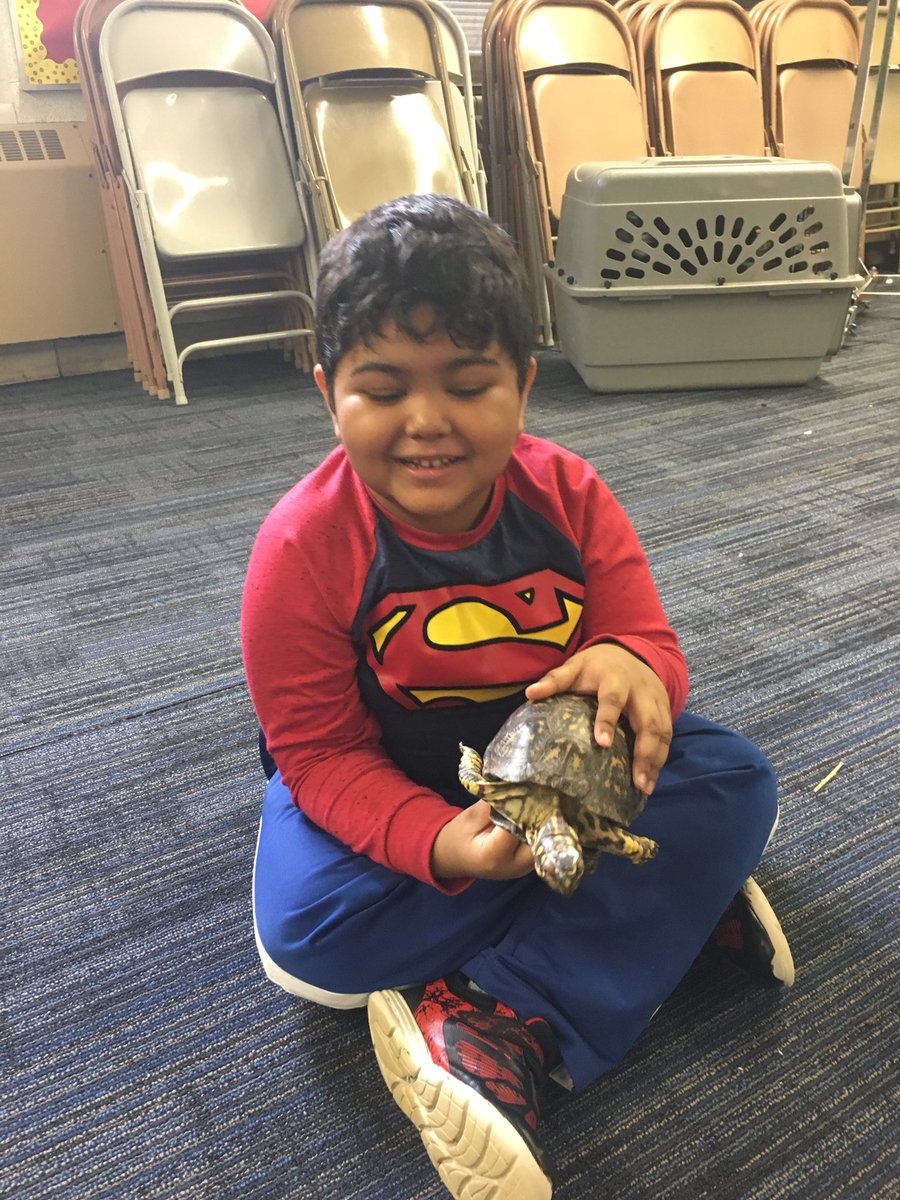 Shannon Lombardo tweet media