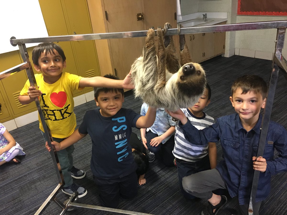 Shannon Lombardo tweet media