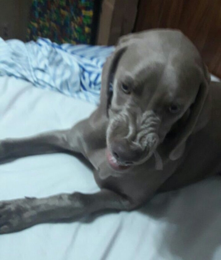 ChiariPidone's tweet photo. Estas enojada y te dicen cosas lindas https://t.co/VmOz1QbTDc