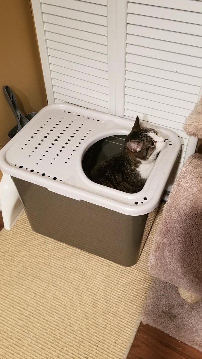 Pint After Podcast tweet media