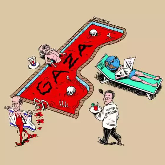 PaIestina's tweet photo. Gaza bombardeada, masacrada, bloqueada...  Sin libertad. 
¡Hasta por los animales hay mayor preocupación!
#Nakba70 https://t.co/pO2Xt24iks