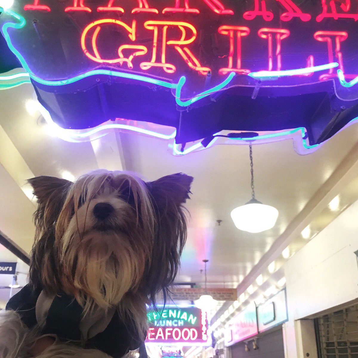 Sometimes things are better than we like to admit, look forward, move ahead, keep steady, don't quit. #love #vibes