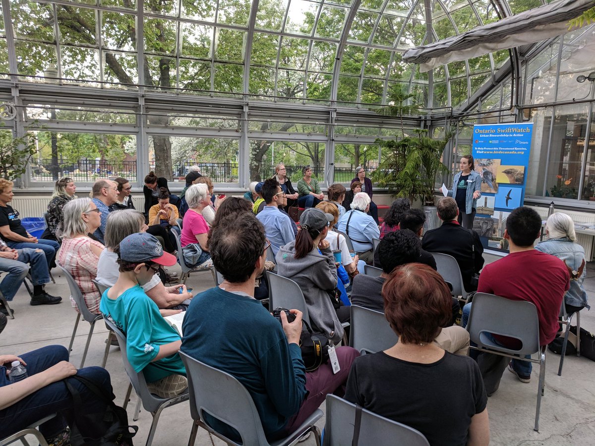 FOAllanGardens's tweet photo. Amazing turnout for #SwiftNightOut with Liz from @BirdStudiesCan #TOBirdParty #swiftnado https://t.co/dMhbpzUS67